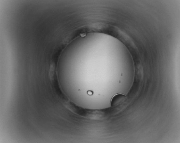 X0000115330463200911091248