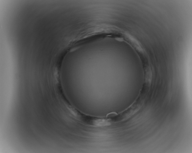 X0000115330465200911091248