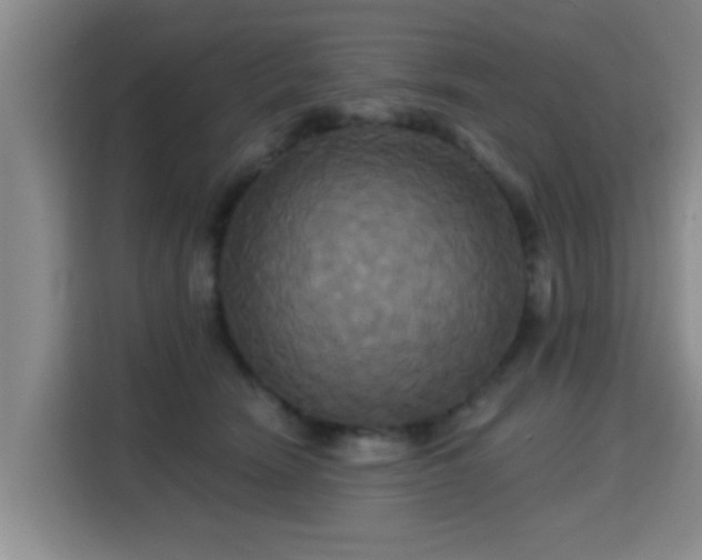 X0000115330466200911091248