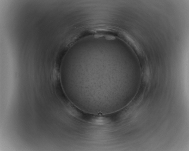 X0000115330467200911091248