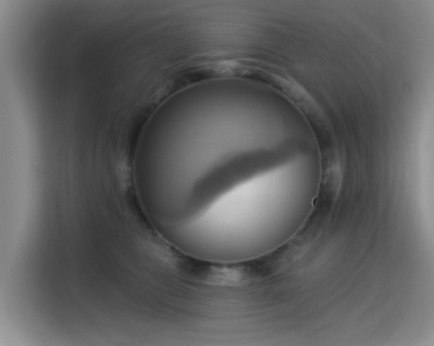 X0000115330469200911091249