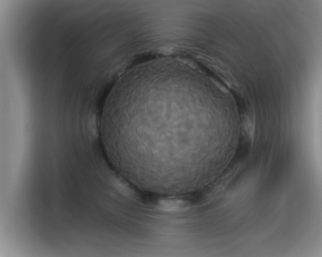 X0000115330470200911091249