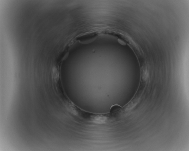 X0000115330471200911091249