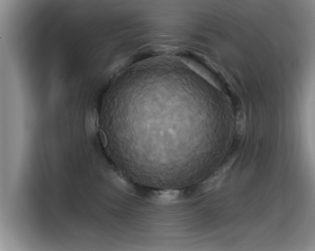 X0000115330474200911091249
