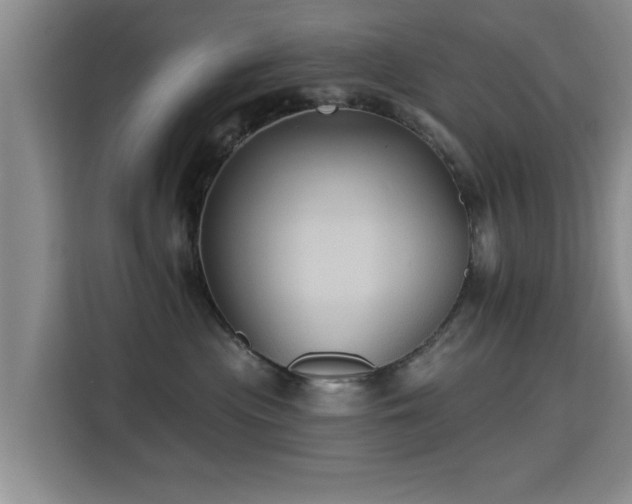 X0000115330477200911091249