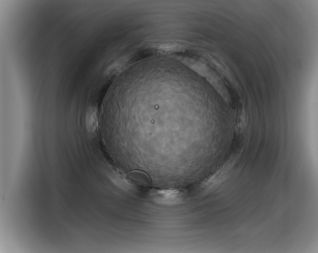 X0000115330478200911091249