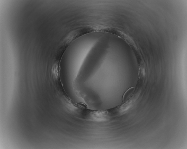 X0000115330479200911091249