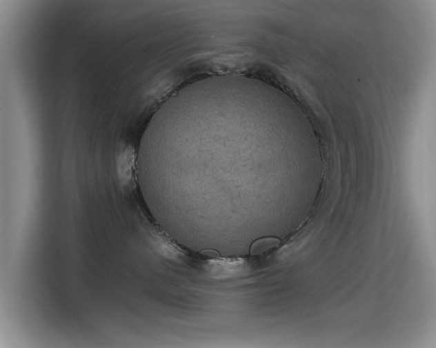 X0000115330480200911091249