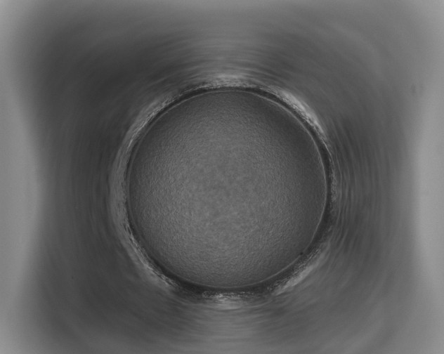 X0000115330481200911091248