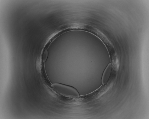 X0000115330484200911091248