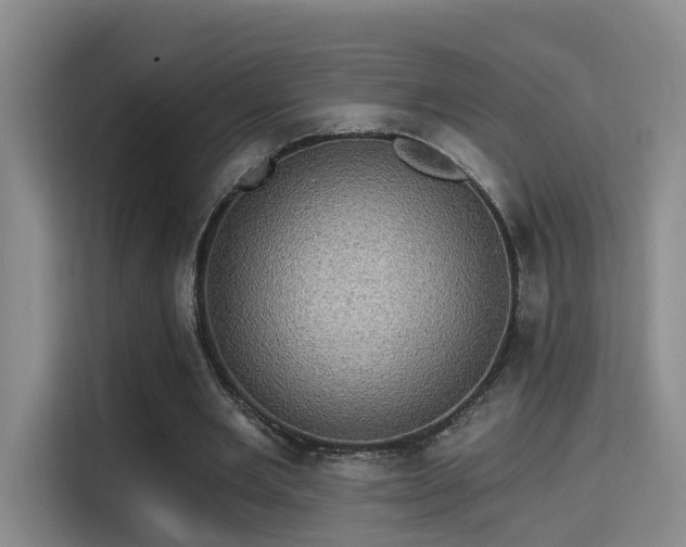 X0000115330485200911091248