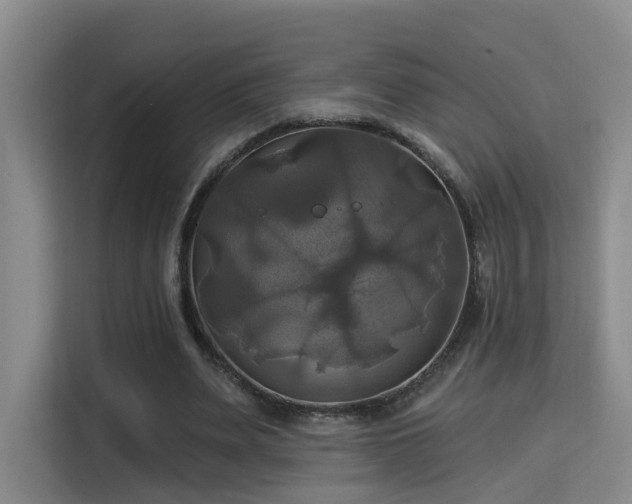 X0000115330487200911091248