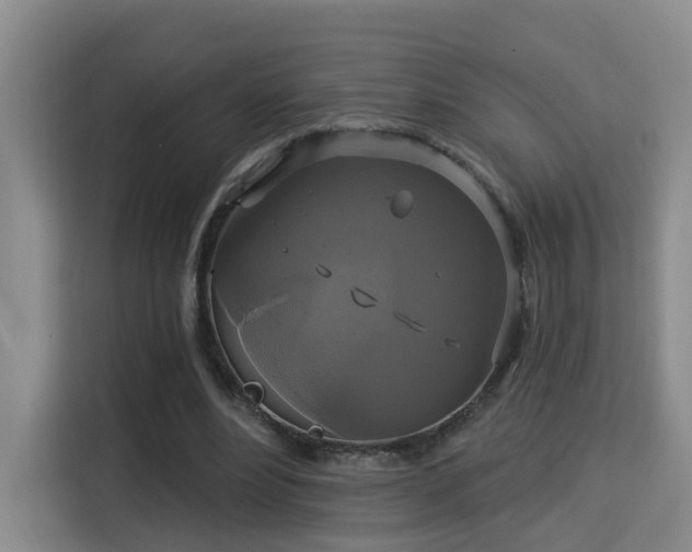 X0000115330488200911091248