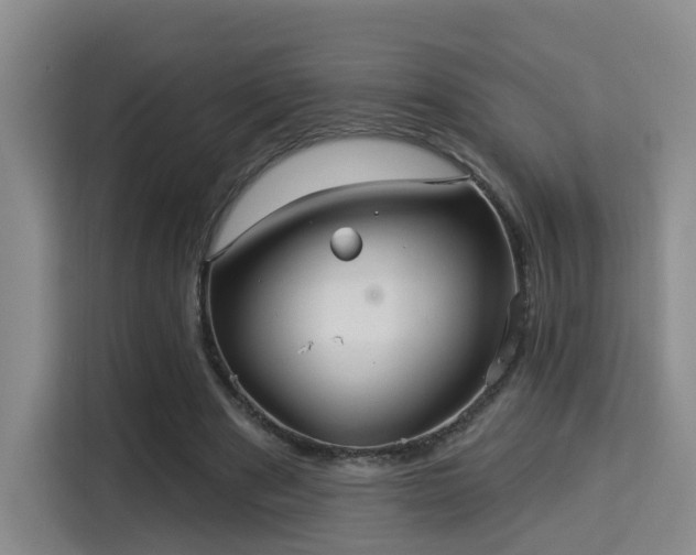 X0000115330489200911091248