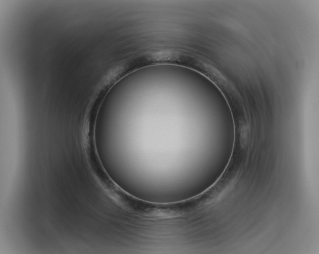 X0000115330490200911091248