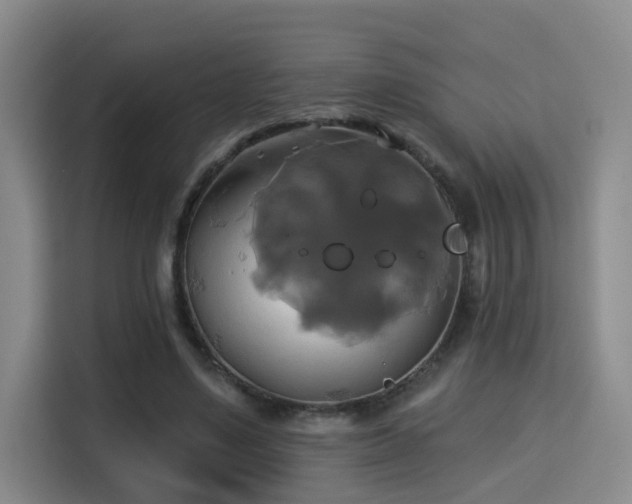 X0000115330491200911091248