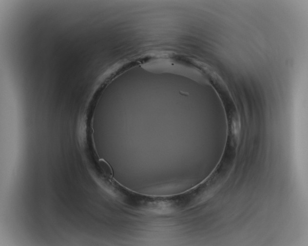 X0000115330492200911091248