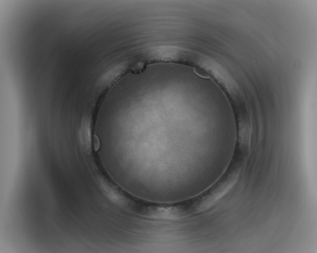 X0000115330493200911091248