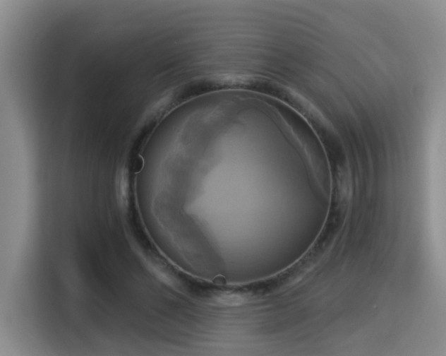 X0000115330494200911091248
