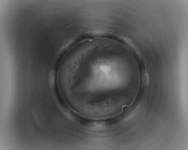 X0000115330495200911091248