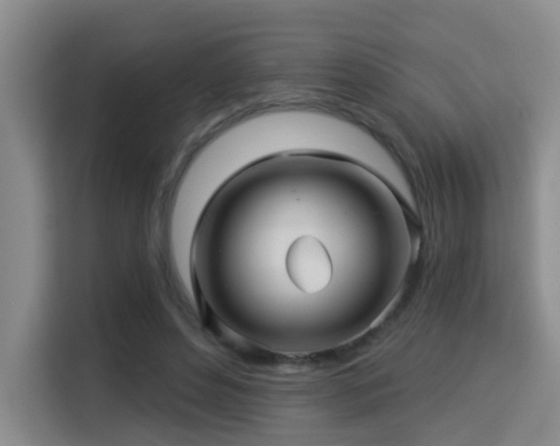 X0000115330496200911091248