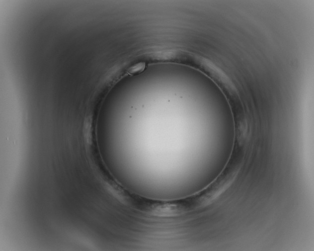 X0000115330497200911091248