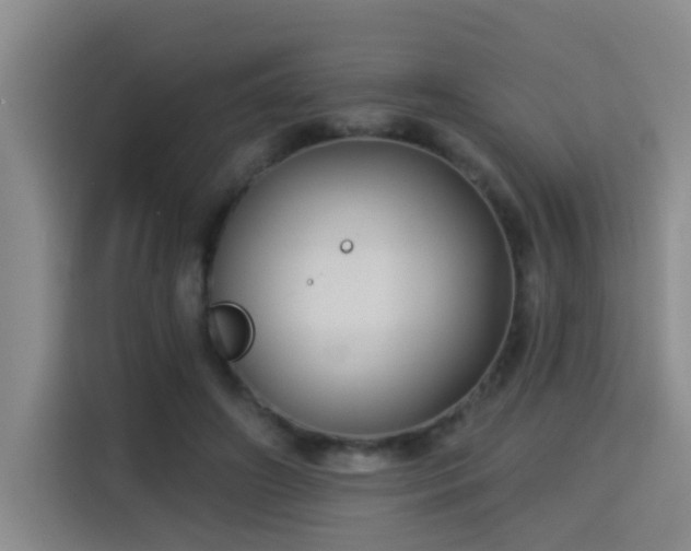 X0000115330498200911091248