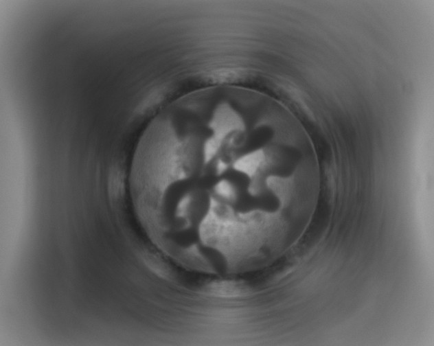 X0000115330499200911091248