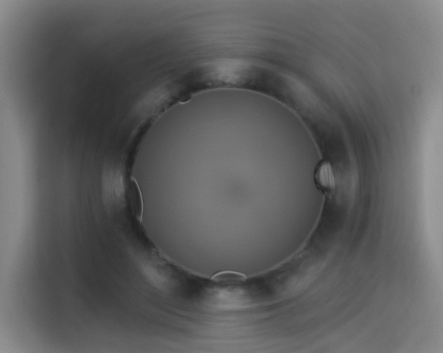 X0000115330500200911091248