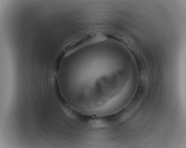 X0000115330503200911091248