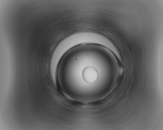 X0000115330504200911091248