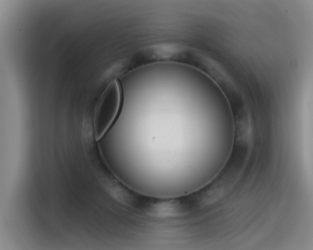 X0000115330505200911091248