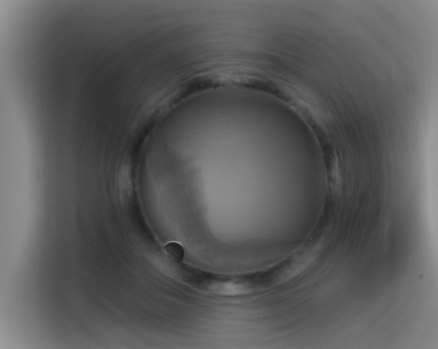 X0000115330506200911091248