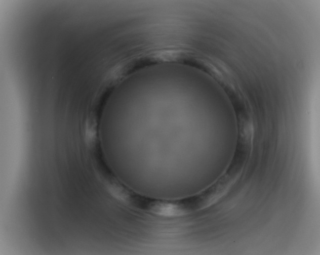 X0000115330507200911091248