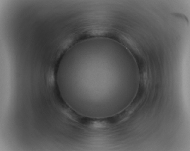 X0000115330508200911091248