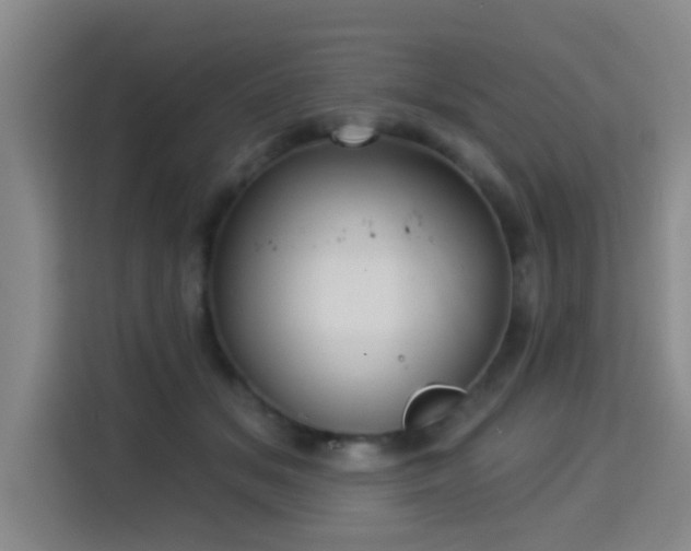 X0000115330509200911091248