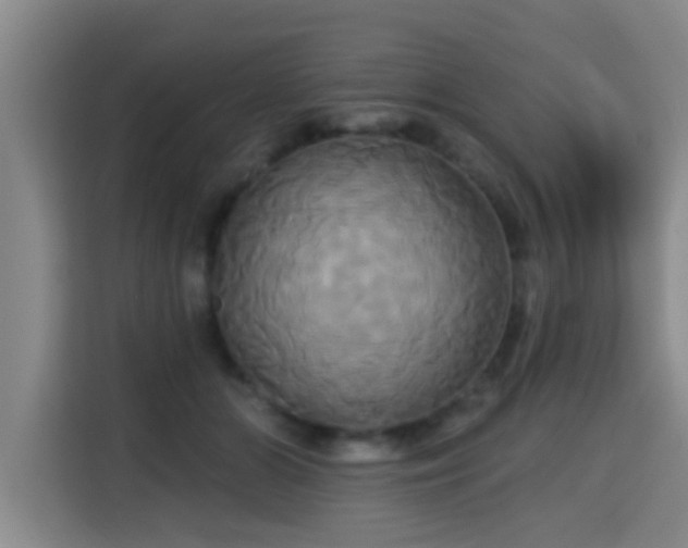 X0000115330510200911091248