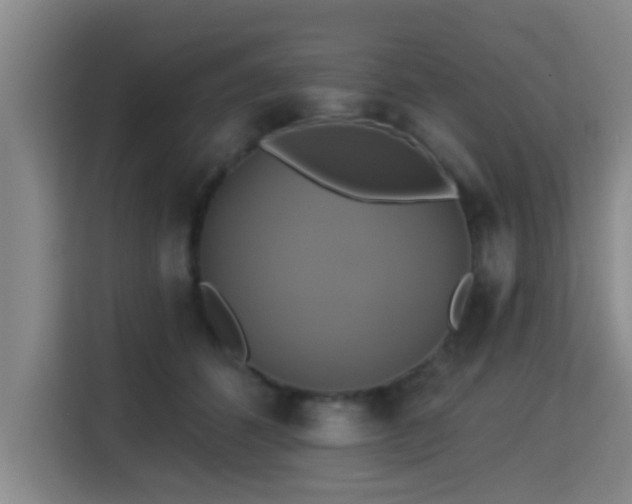 X0000115330512200911091248