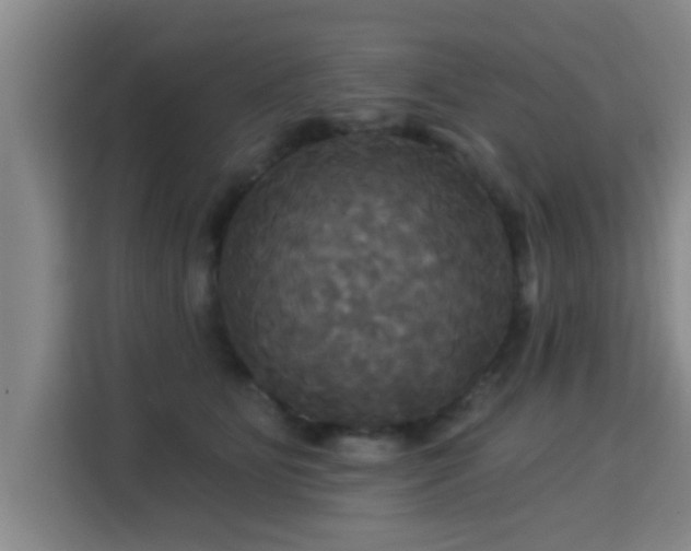 X0000115330515200911091248