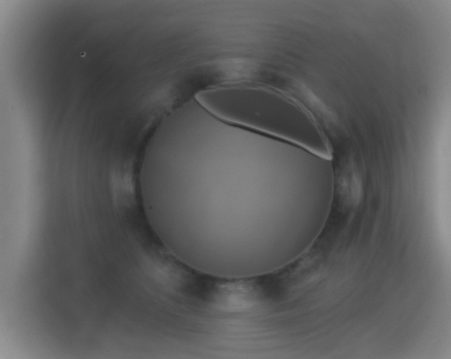 X0000115330516200911091248