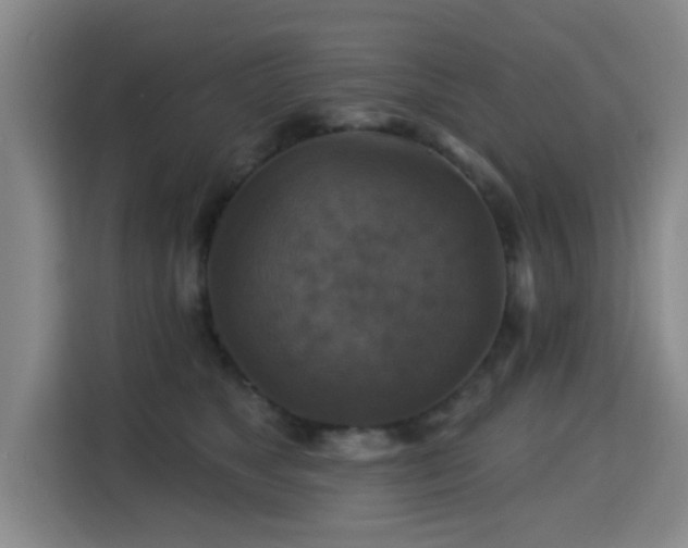 X0000115330517200911091248