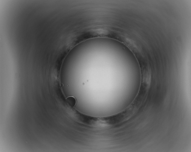 X0000115330518200911091248