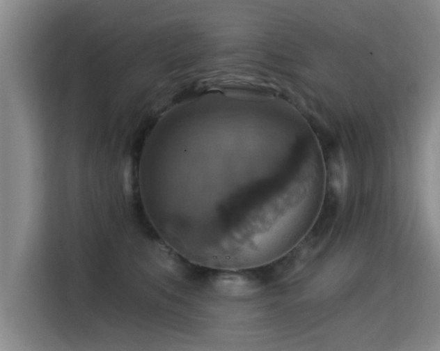 X0000115330519200911091248
