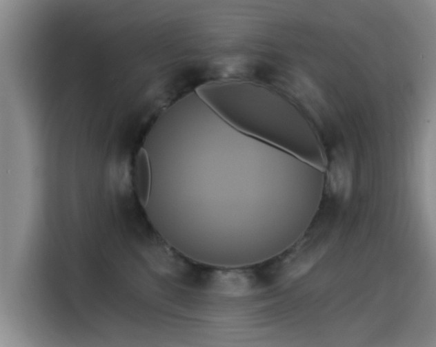 X0000115330520200911091248