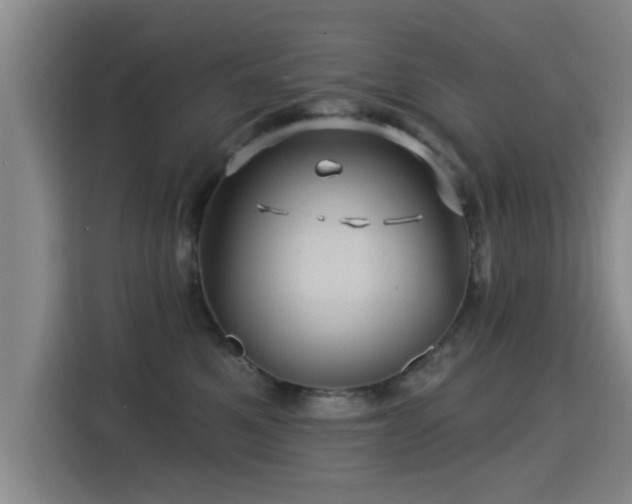 X0000115330521200911091248