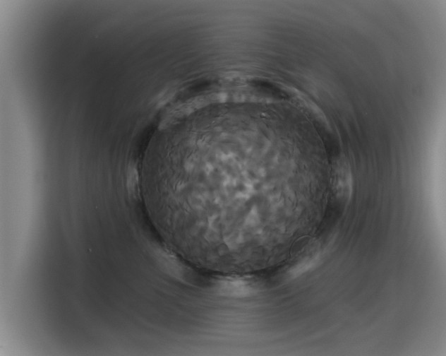 X0000115330523200911091247