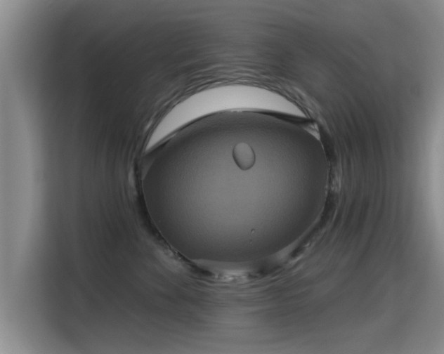 X0000115330524200911091247