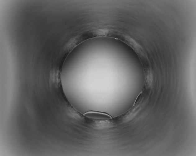 X0000115330525200911091247
