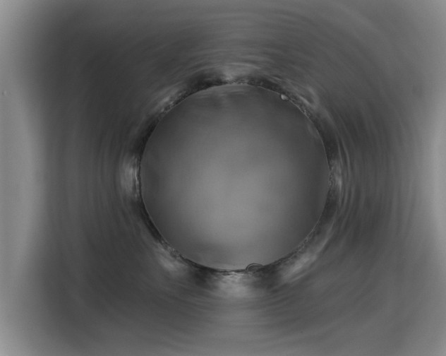 X0000115330527200911091247