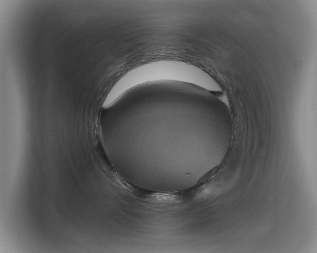X0000115330528200911091247